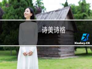 诗美诗格