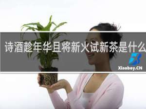 诗酒趁年华且将新火试新茶是什么意思