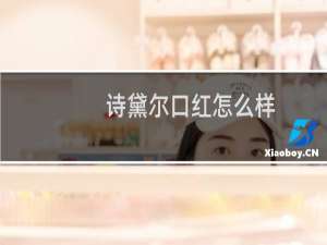 诗黛尔口红怎么样