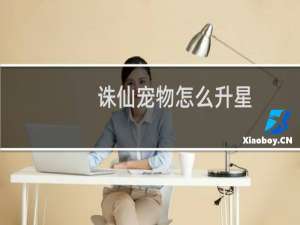 诛仙宠物怎么升星