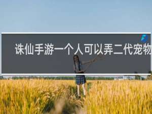 诛仙手游一个人可以弄二代宠物吗