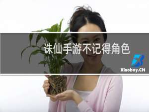 诛仙手游不记得角色