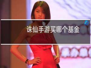 诛仙手游买哪个基金