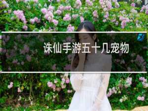 诛仙手游五十几宠物