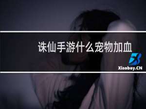 诛仙手游什么宠物加血