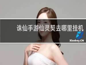 诛仙手游仙灵契去哪里挂机
