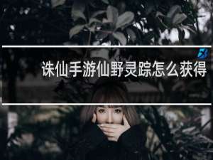 诛仙手游仙野灵踪怎么获得