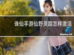 诛仙手游仙野灵踪怎样激活