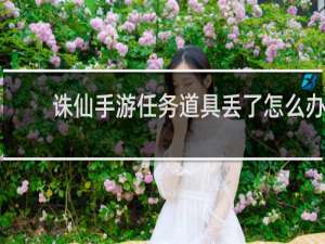 诛仙手游任务道具丢了怎么办