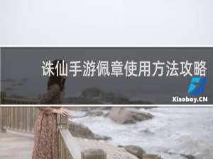 诛仙手游佩章使用方法攻略