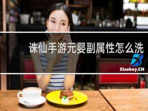 诛仙手游元婴副属性怎么洗