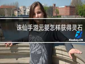 诛仙手游元婴怎样获得灵石