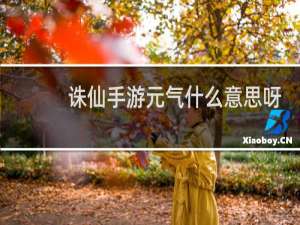 诛仙手游元气什么意思呀