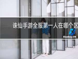 诛仙手游全服第一人在哪个区