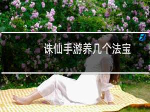 诛仙手游养几个法宝