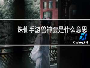 诛仙手游兽神套是什么意思