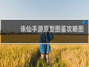 诛仙手游原型图鉴攻略图