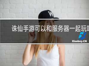 诛仙手游可以和服务器一起玩吗