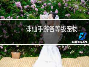 诛仙手游各等级宠物