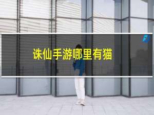 诛仙手游哪里有猫