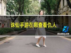 诛仙手游在哪查看仇人