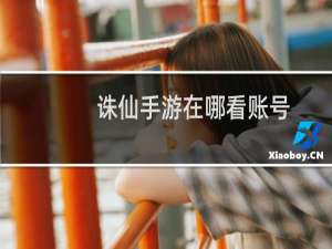 诛仙手游在哪看账号