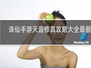 诛仙手游天音修真攻略大全最新版