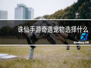 诛仙手游奇遇宠物选择什么