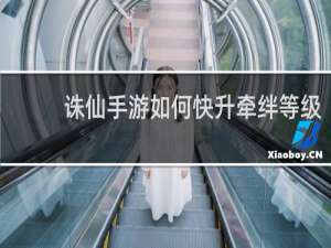 诛仙手游如何快升牵绊等级