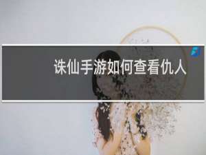 诛仙手游如何查看仇人