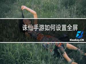诛仙手游如何设置全屏