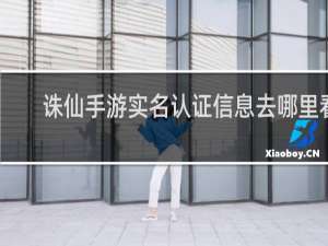 诛仙手游实名认证信息去哪里看