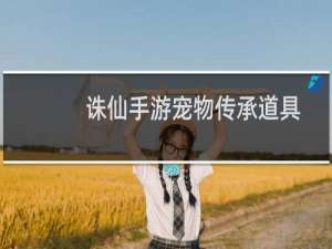 诛仙手游宠物传承道具