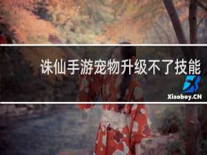 诛仙手游宠物升级不了技能