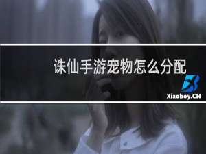 诛仙手游宠物怎么分配