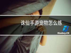 诛仙手游宠物怎么练