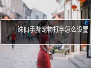诛仙手游宠物打字怎么设置