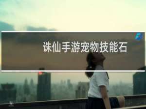 诛仙手游宠物技能石