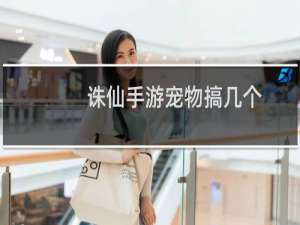 诛仙手游宠物搞几个