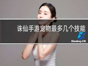 诛仙手游宠物最多几个技能