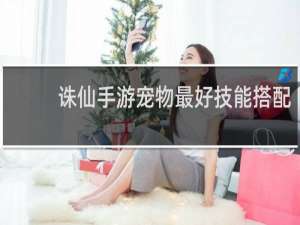 诛仙手游宠物最好技能搭配