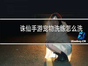诛仙手游宠物洗练怎么洗