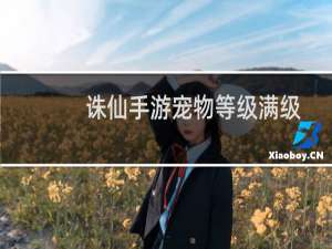 诛仙手游宠物等级满级
