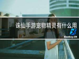 诛仙手游宠物精灵有什么用