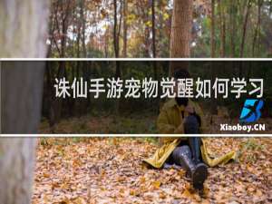 诛仙手游宠物觉醒如何学习