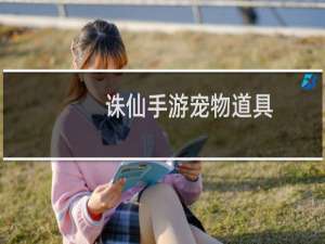 诛仙手游宠物道具