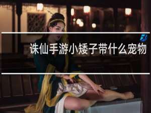 诛仙手游小矮子带什么宠物