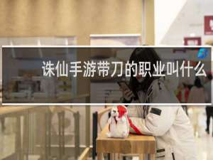 诛仙手游带刀的职业叫什么