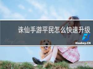 诛仙手游平民怎么快速升级