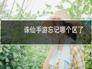 诛仙手游忘记哪个区了